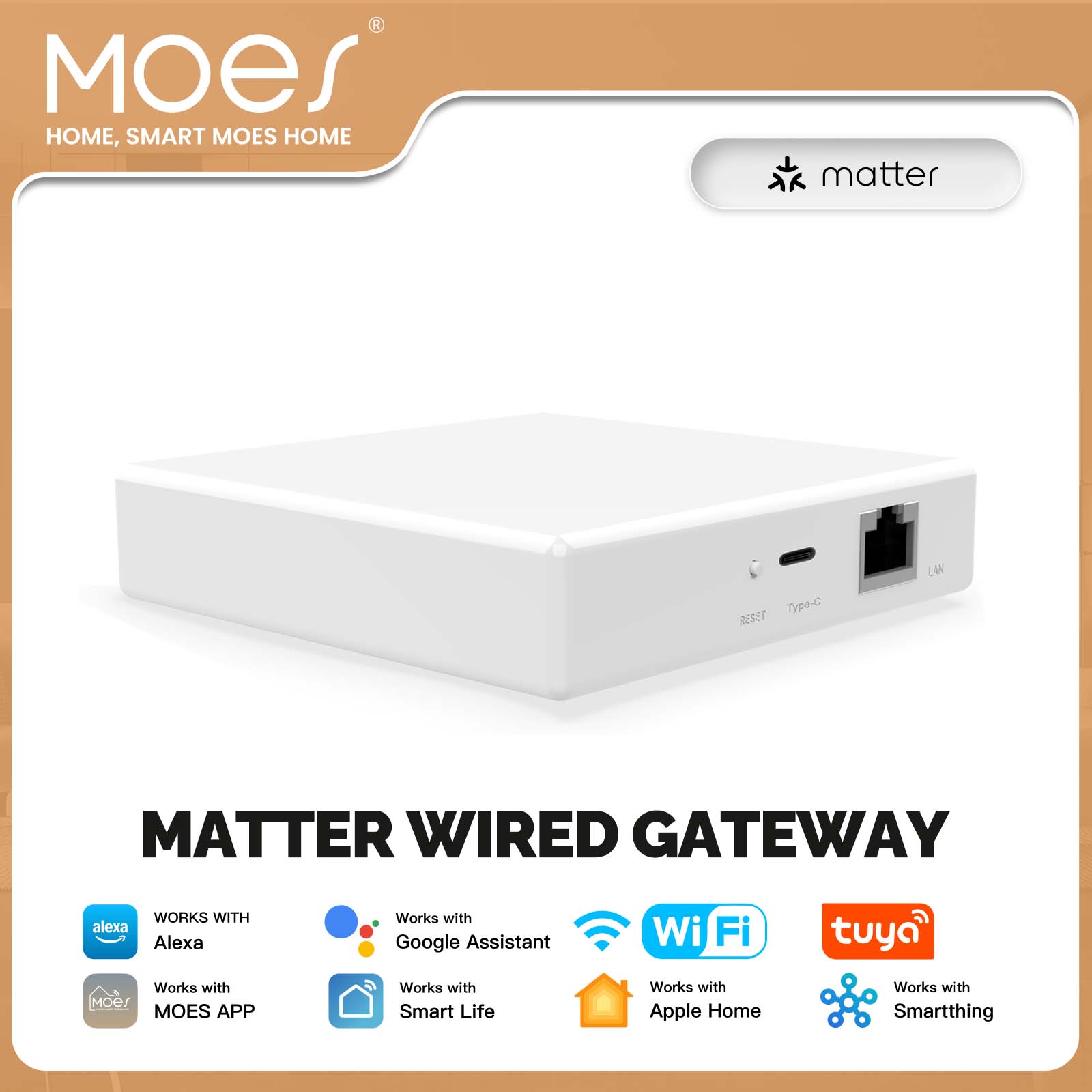Smart Home Zentrale - MOES Tuya ZigBee Matter Thread Gateway