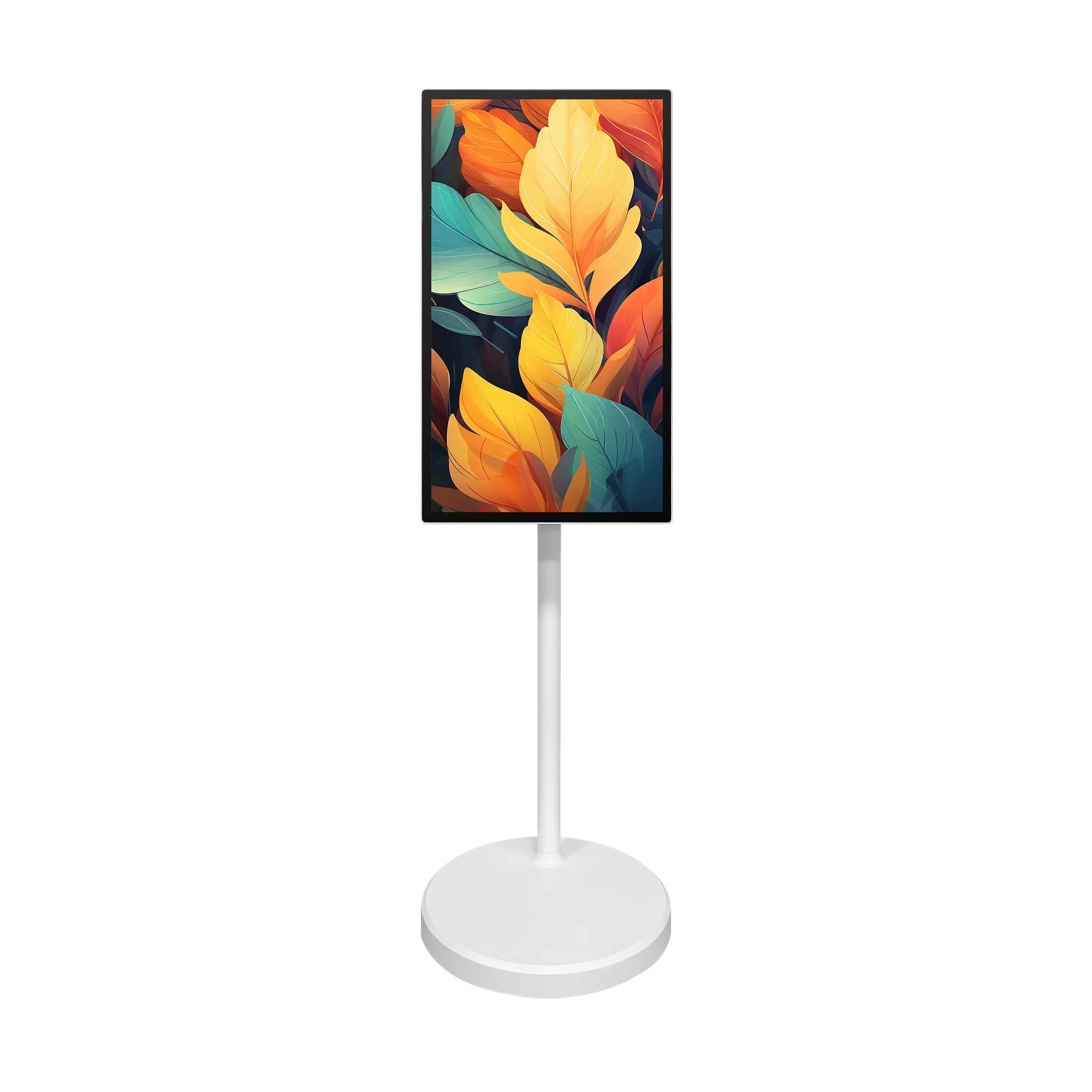 Monitor touchscreen mobile da  - Smart Home Display recensione e prezzo