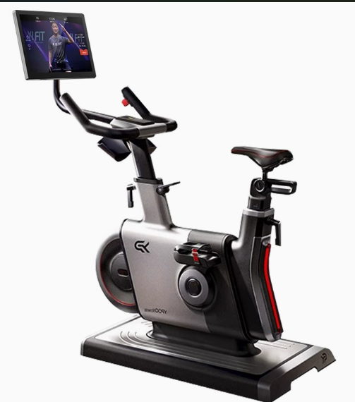 Cyclette in Acciaio con Displa - Smart Home Display recensione e prezzo